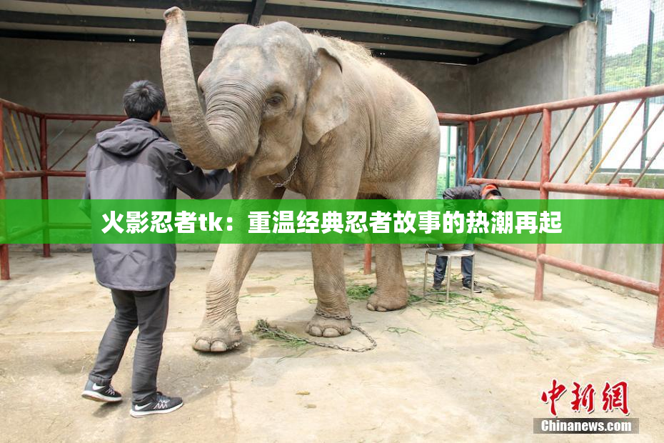 火影忍者tk：重温经典忍者故事的热潮再起