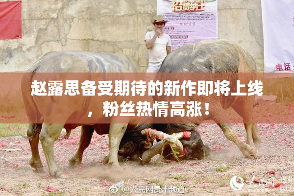 赵露思备受期待的新作即将上线，粉丝热情高涨！