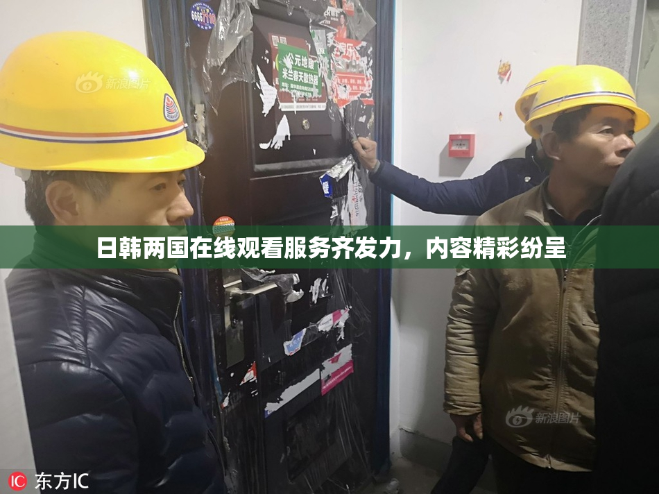 日韩两国在线观看服务齐发力，内容精彩纷呈