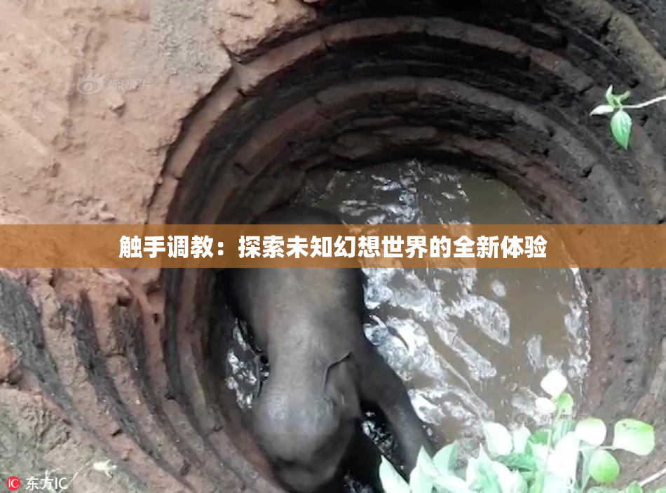 触手调教：探索未知幻想世界的全新体验