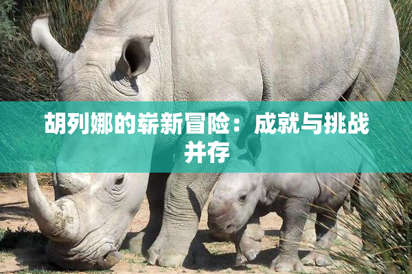 胡列娜的崭新冒险：成就与挑战并存