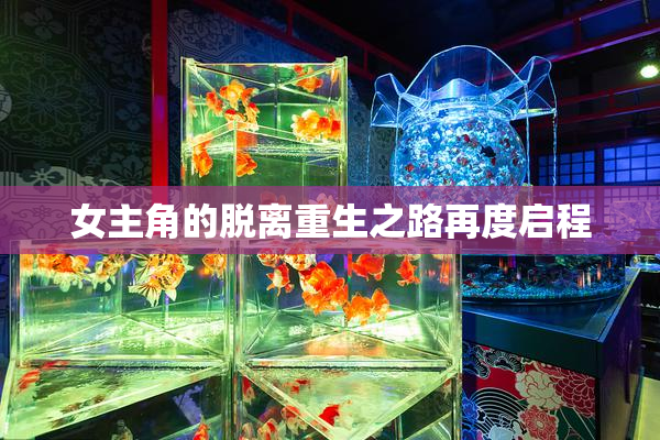 女主角的脱离重生之路再度启程