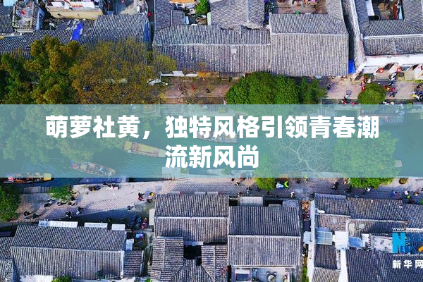 萌萝社黄，独特风格引领青春潮流新风尚