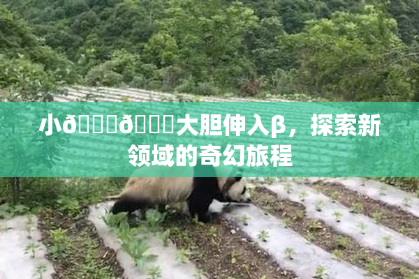 小🐔🐔大胆伸入β，探索新领域的奇幻旅程