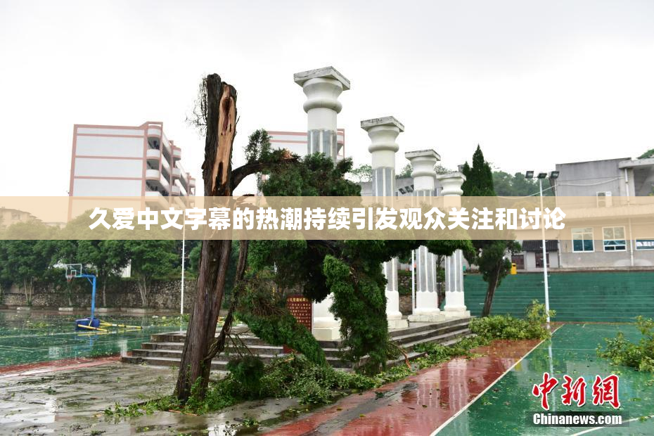 久爱中文字幕的热潮持续引发观众关注和讨论