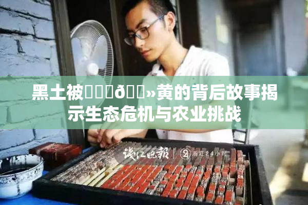 黑土被❌‌‌🐻黄的背后故事揭示生态危机与农业挑战