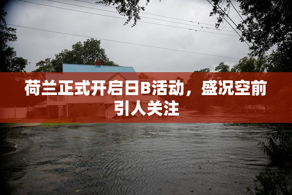 荷兰正式开启日B活动，盛况空前引人关注