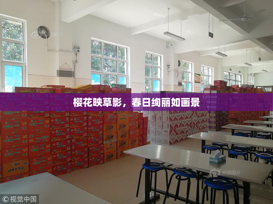 樱花映草影，春日绚丽如画景