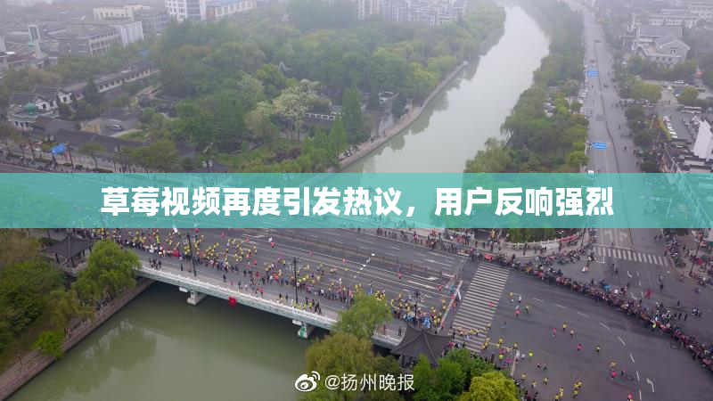 草莓视频再度引发热议，用户反响强烈
