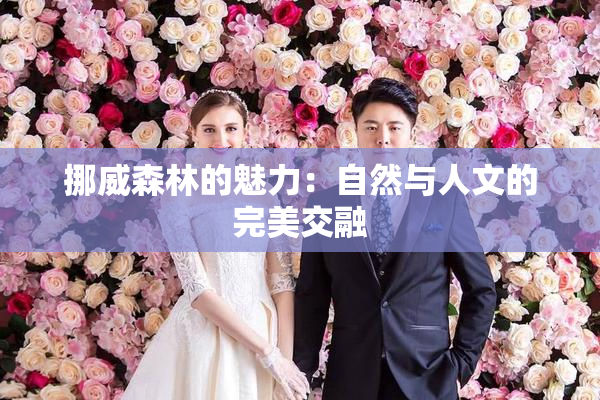 挪威森林的魅力：自然与人文的完美交融