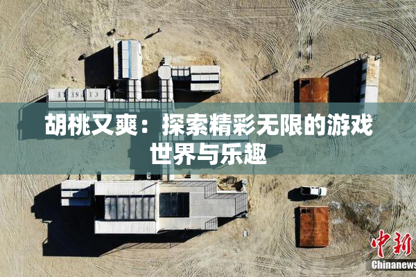 胡桃又爽：探索精彩无限的游戏世界与乐趣