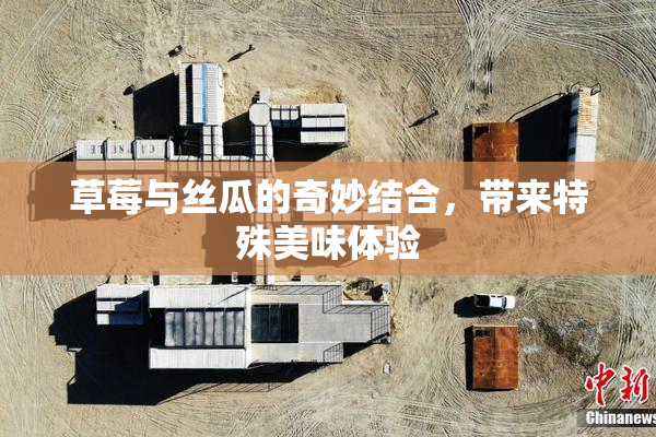 草莓与丝瓜的奇妙结合，带来特殊美味体验