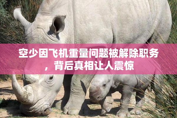 空少因飞机重量问题被解除职务，背后真相让人震惊