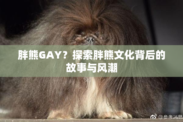 胖熊GAY？探索胖熊文化背后的故事与风潮