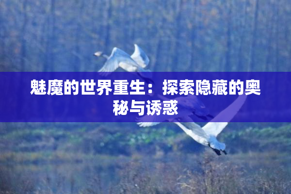 魅魔的世界重生：探索隐藏的奥秘与诱惑