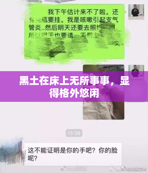 黑土在床上无所事事，显得格外悠闲