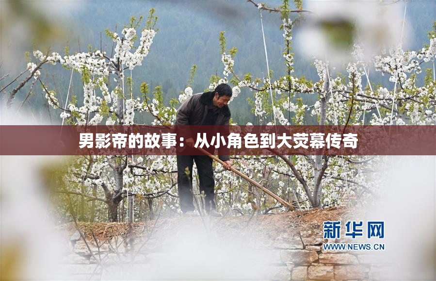 男影帝的故事：从小角色到大荧幕传奇