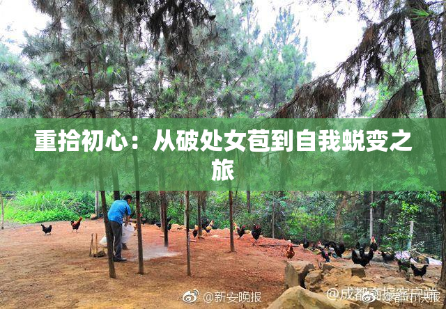 重拾初心：从破处女苞到自我蜕变之旅