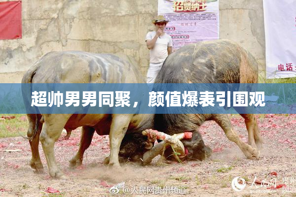 超帅男男同聚，颜值爆表引围观