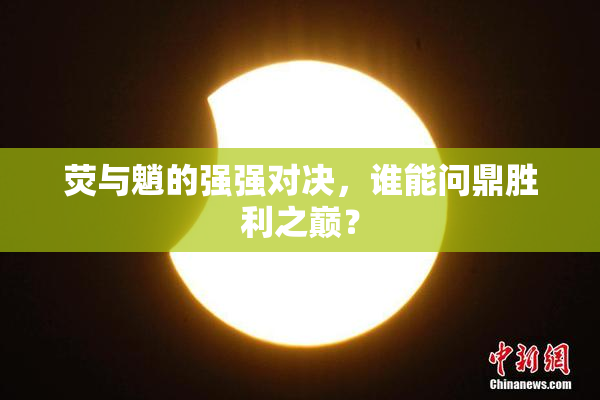 荧与魈的强强对决，谁能问鼎胜利之巅？