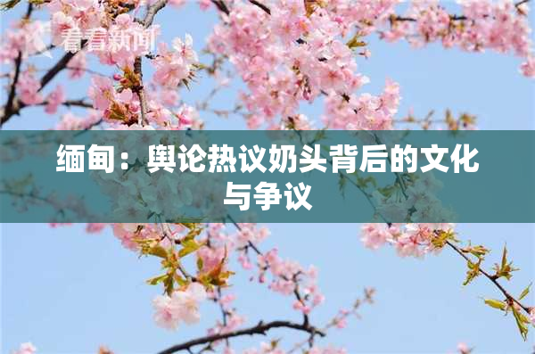 缅甸：舆论热议奶头背后的文化与争议
