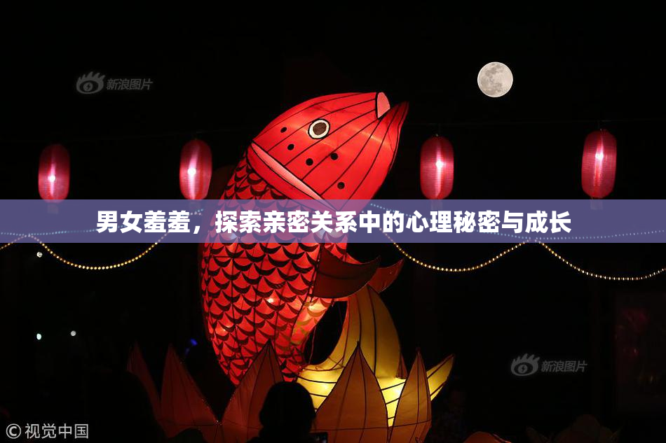 男女羞羞，探索亲密关系中的心理秘密与成长