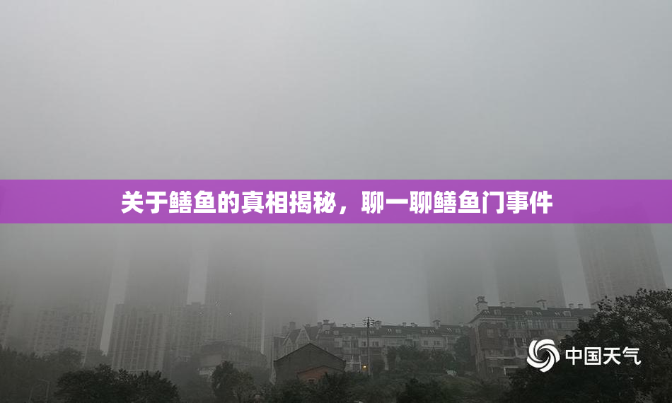 关于鳝鱼的真相揭秘，聊一聊鳝鱼门事件