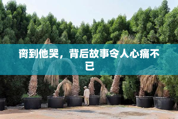 脔到他哭，背后故事令人心痛不已
