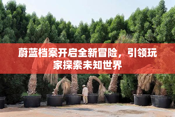 蔚蓝档案开启全新冒险，引领玩家探索未知世界
