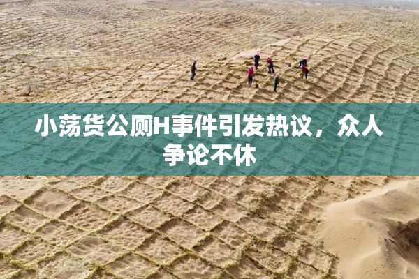 小荡货公厕H事件引发热议，众人争论不休