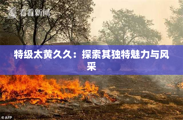 特级太黄久久：探索其独特魅力与风采