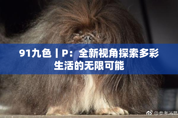 91九色丨P：全新视角探索多彩生活的无限可能