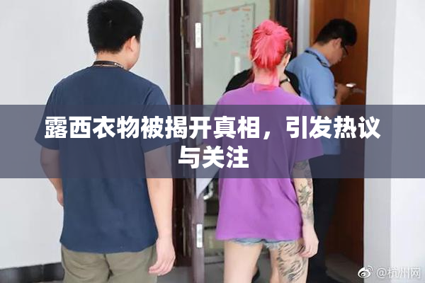 露西衣物被揭开真相，引发热议与关注