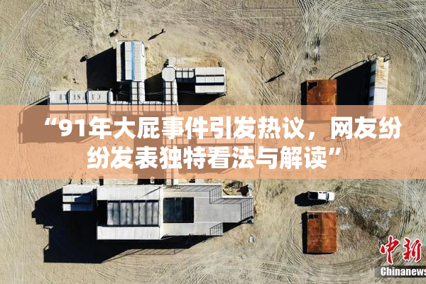“91年大屁事件引发热议，网友纷纷发表独特看法与解读”