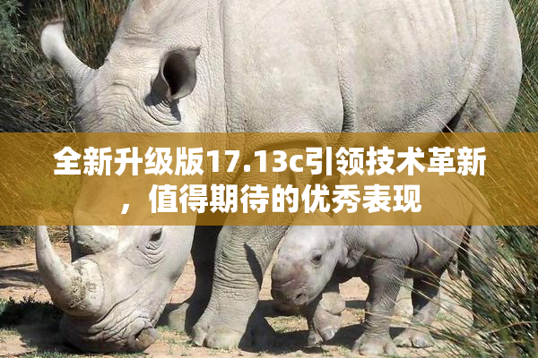 全新升级版17.13c引领技术革新，值得期待的优秀表现