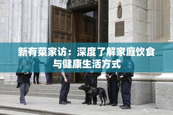 新有菜家访：深度了解家庭饮食与健康生活方式