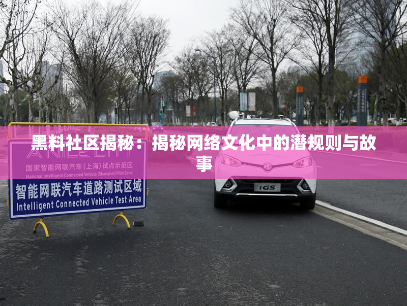 黑料社区揭秘：揭秘网络文化中的潜规则与故事