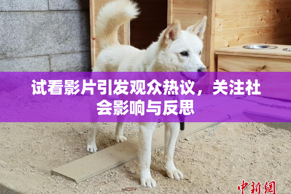 试看影片引发观众热议，关注社会影响与反思