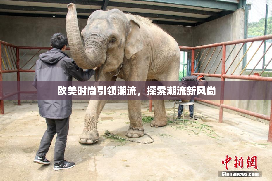 欧美时尚引领潮流，探索潮流新风尚