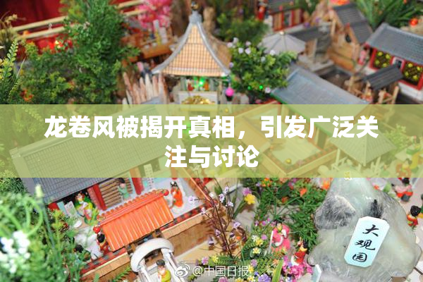 龙卷风被揭开真相，引发广泛关注与讨论