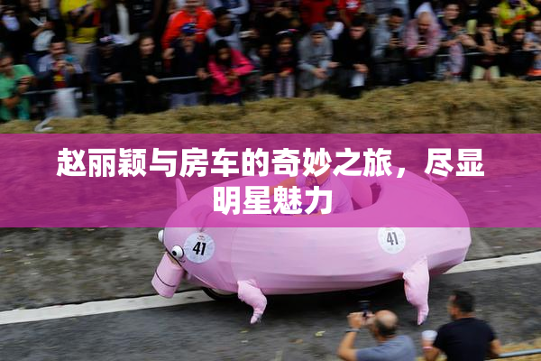 赵丽颖与房车的奇妙之旅，尽显明星魅力