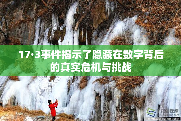 17·3事件揭示了隐藏在数字背后的真实危机与挑战