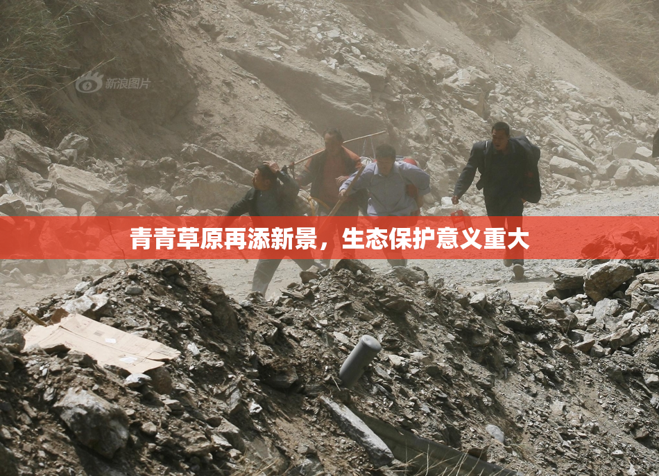 青青草原再添新景，生态保护意义重大