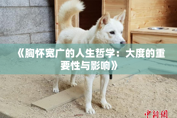 《胸怀宽广的人生哲学：大度的重要性与影响》