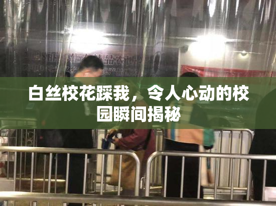 白丝校花踩我，令人心动的校园瞬间揭秘