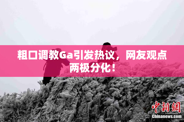 粗口调教Ga引发热议，网友观点两极分化！