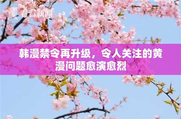 韩漫禁令再升级，令人关注的黄漫问题愈演愈烈