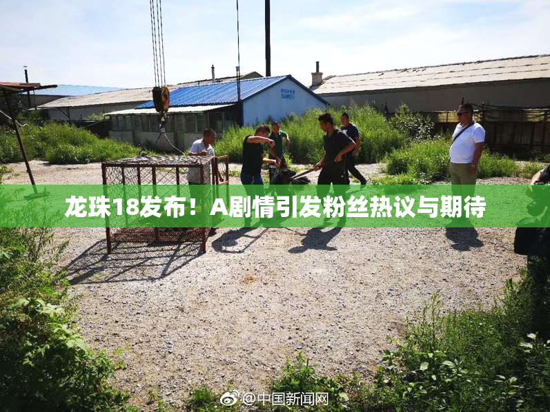 龙珠18发布！A剧情引发粉丝热议与期待