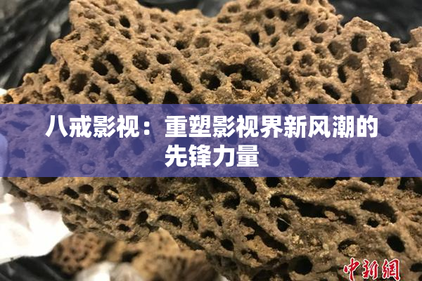 八戒影视：重塑影视界新风潮的先锋力量
