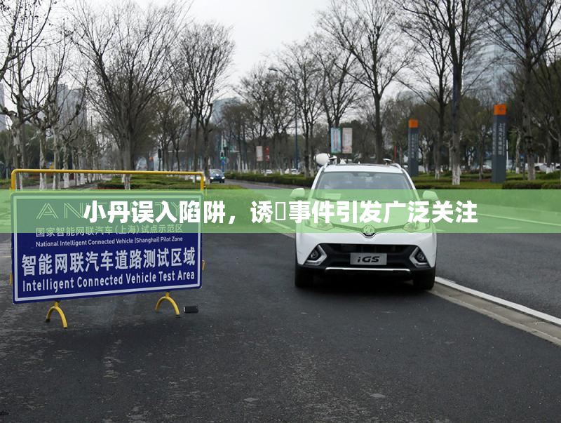 小丹误入陷阱，诱奷事件引发广泛关注